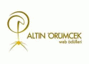 Sabiha Gökçen’in kurumsal web sitesine ödül