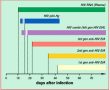 HIV PCR Testi Nedir? Ne zaman Yapılmalıdır?