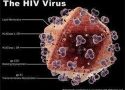HIV virüsünü yok ettiler!
