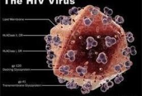 HIV virüsünü yok ettiler!