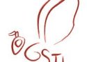 İşletim Gömülü Sistemleri