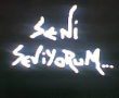 Aşkın 4 mevsimi