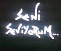 Aşkın 4 mevsimi
