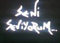 Aşkın 4 mevsimi