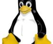 Linux’un simgesi niçin penguen
