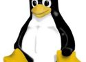 Linux’un simgesi niçin penguen