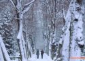 Meteoroloji’den kar ve yağmur uyarısı