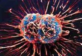 Akciğer kanserine neden, molekül bulundu