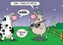 Burçlara göre yaşam parolaları