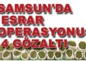 Bafra`daki esrar operasyonunda 10 tutuklama