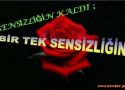 Sensizlik kokulu cümleler