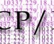 TCP/iP nedir?