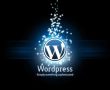 WordPress Eklenti Güncelleme Sorunu Çözümü