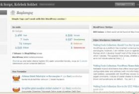 WordPress’de Konu Girişi Nasıl Yapılır ?