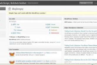 WordPress’de Konu Girişi Nasıl Yapılır ?