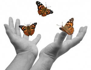 hands-releasing-butterflies-300x231