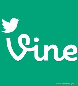 Vine artık Android`de