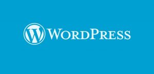 WordPress Hakkında