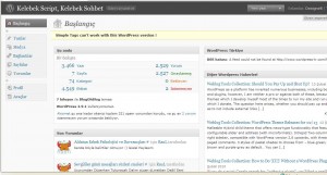 Wordpress Konu Girişi 1