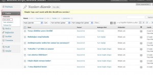 Wordpress Konu Girişi 2