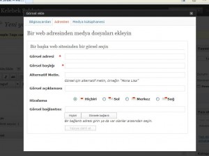 Wordpress Konu Girişi 5